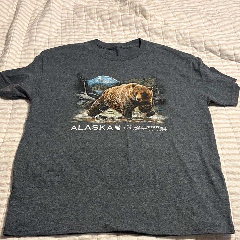 Alaska Graphic Men's T-Shirt - Gray